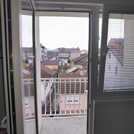 Delfin Apartment Bajina Basta