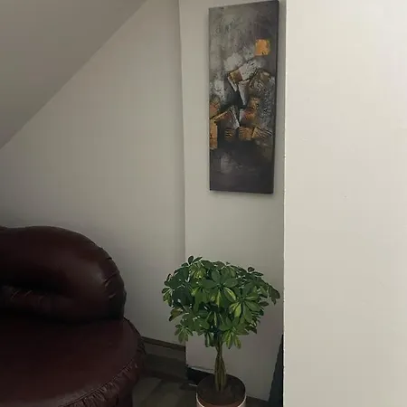 Apartment Delfin *